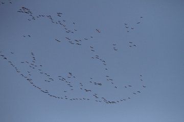 Bild 101 - MTSV2 am 4.5.11